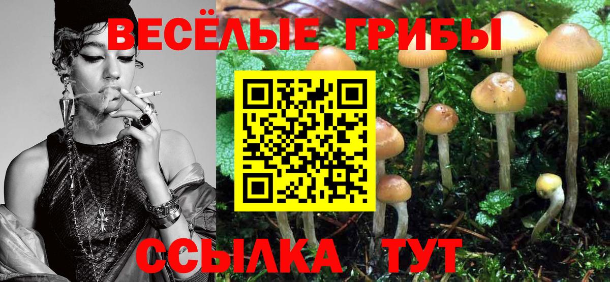Добрянка  как найти   Вход с VPN  Псилоцибиновые грибы Psilocybine cubensis 